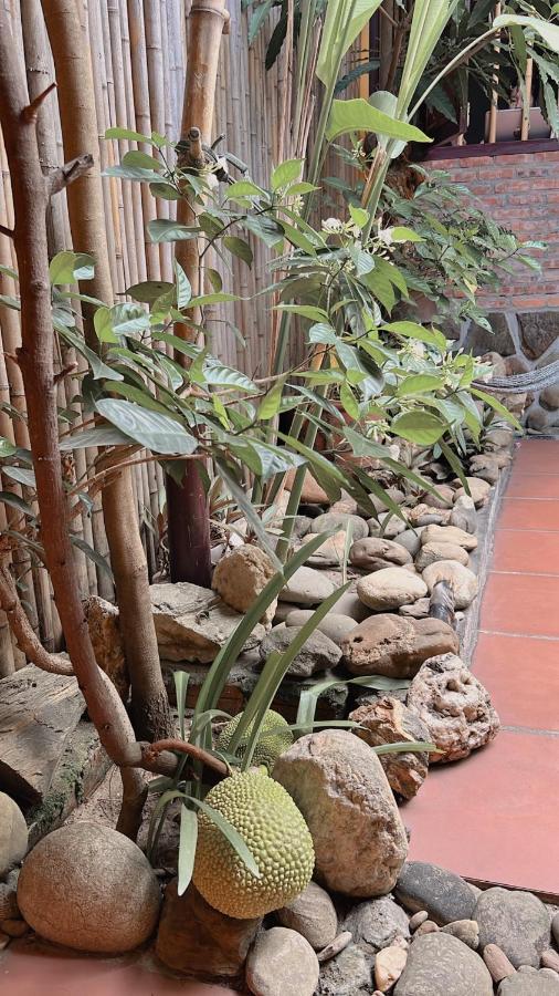 Homestay Da Nang Full House Dış mekan fotoğraf